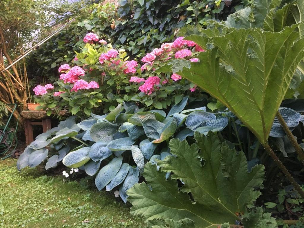 Cote Jardin, Chambres D'Hotes B&B Le Pont-de-Beauvoisin Dış mekan fotoğraf